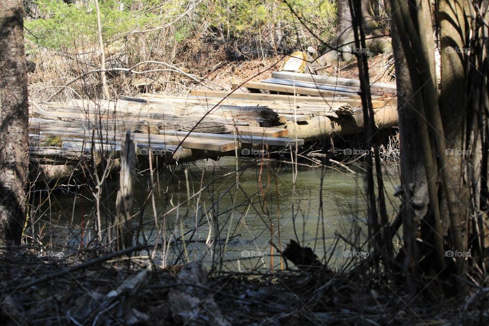 Bridge over a creek in the forest