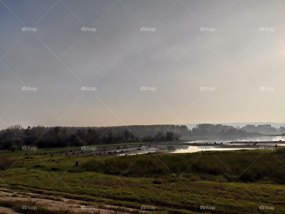 Kovin Serbia river Danube canal with tree trunks in water in sunset