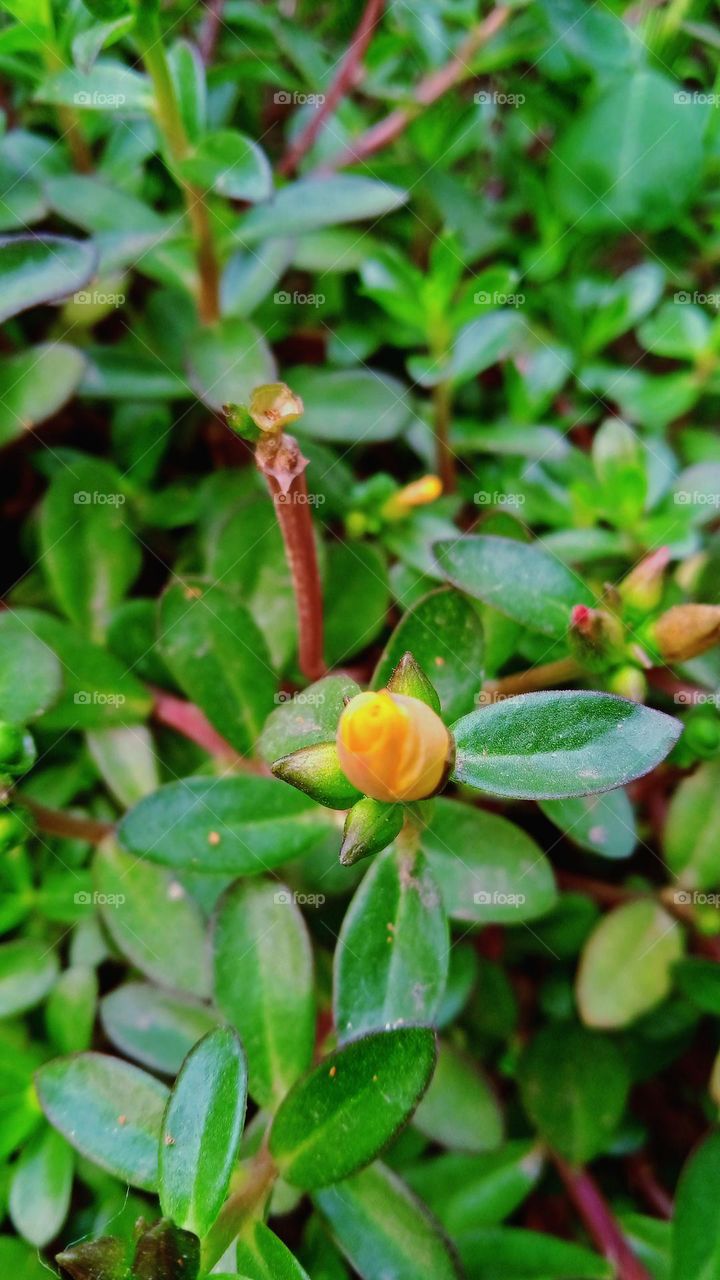 It rained at that time, in that rain you got wet eyes. Suddenly lightning came that day, as if everyone had become desolate.