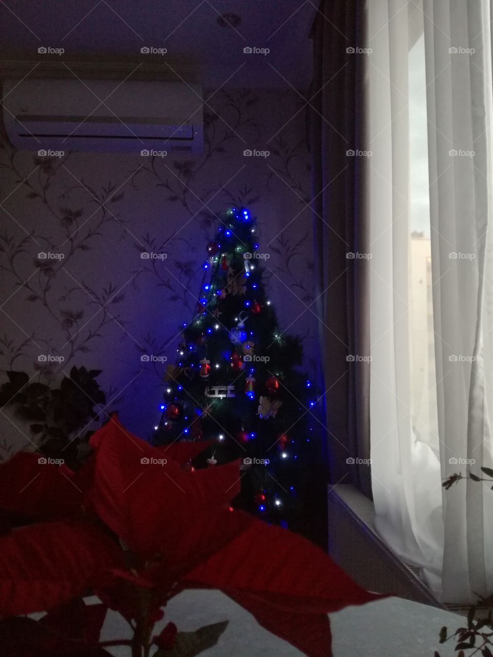 Calm christmas tree .