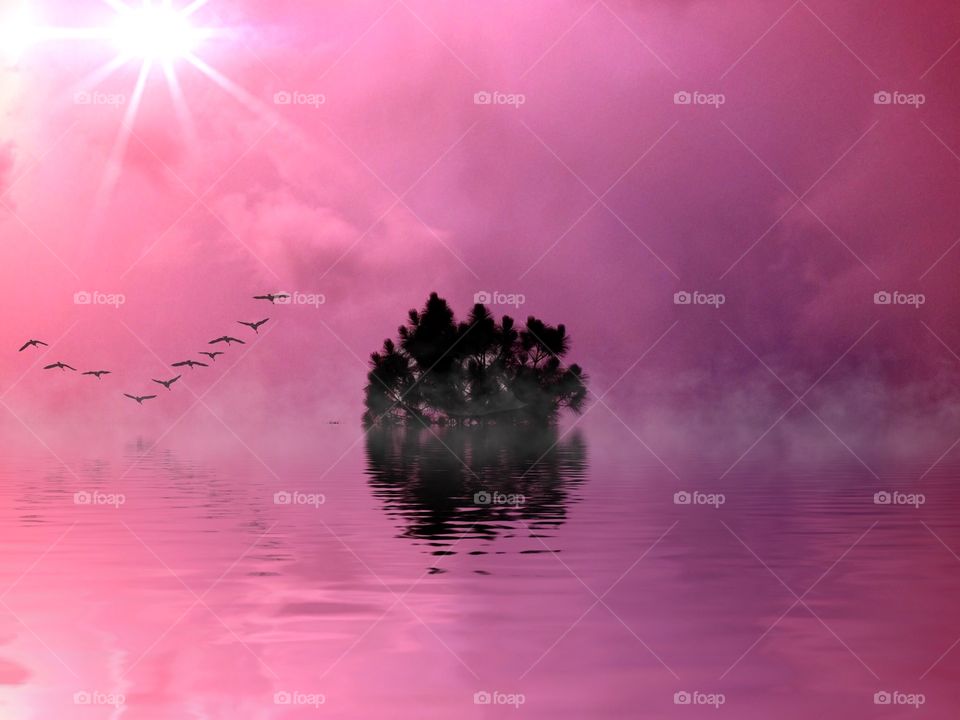 Birds on A Misty pink lake. Birds over a misty pink and lavender Sky
