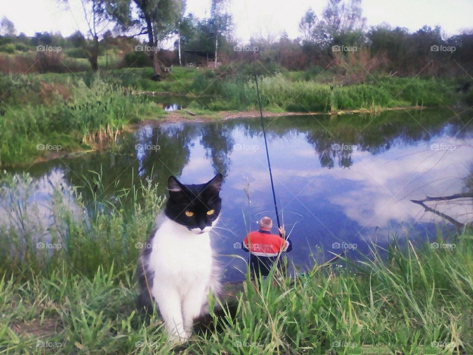 Upload photo of the week