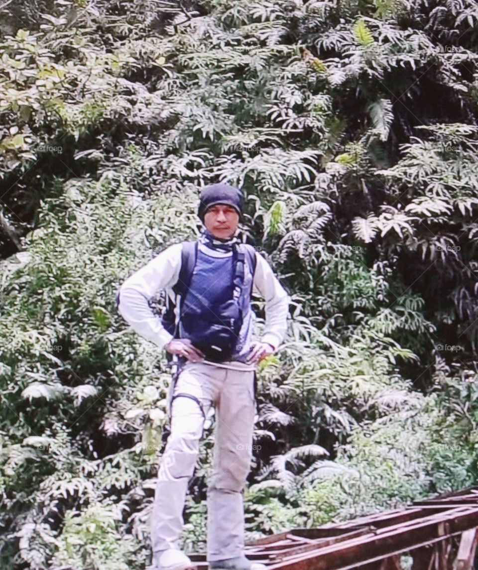 I'm standing on an abandoned bridge that has been covered with bushes with very thick grass. This is an adventure on a mountain full of history.