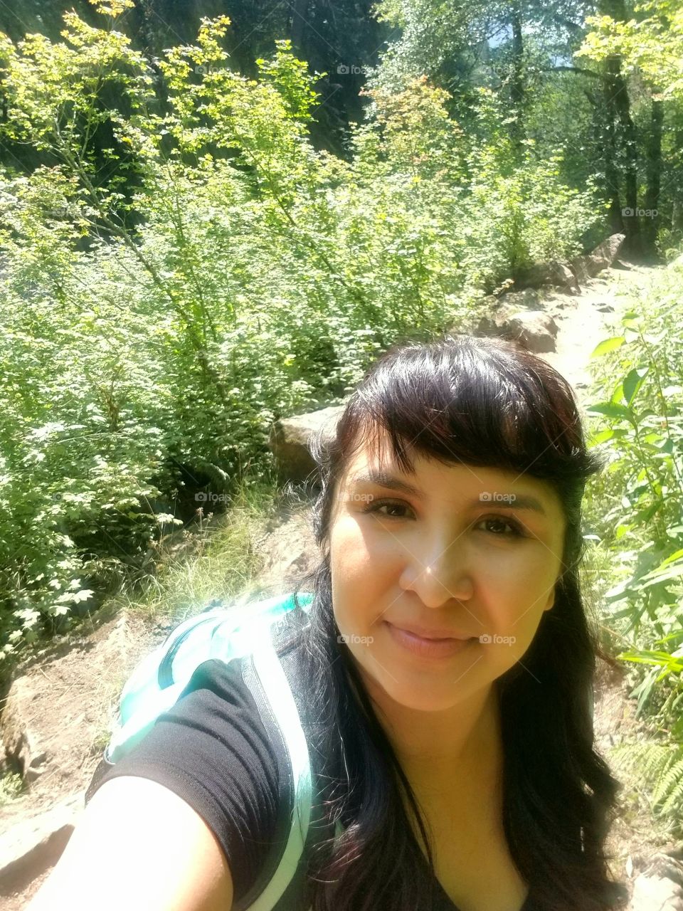 nice sunny day hike