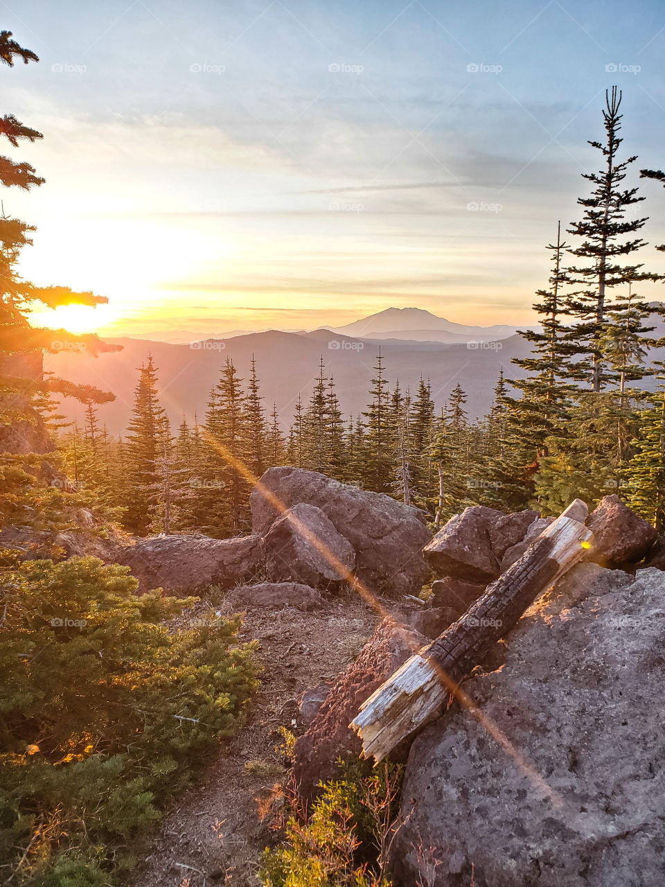 Gifford Pinchot National Forest View, Mt Ranier
