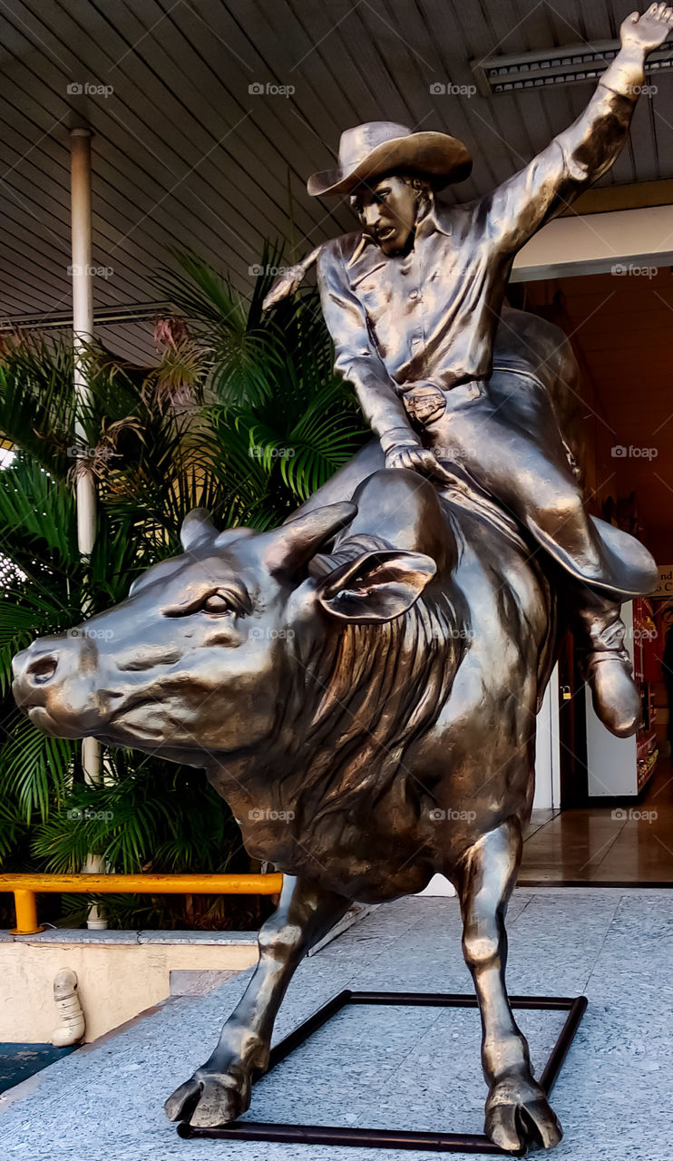 Homage to the cowboy pawn