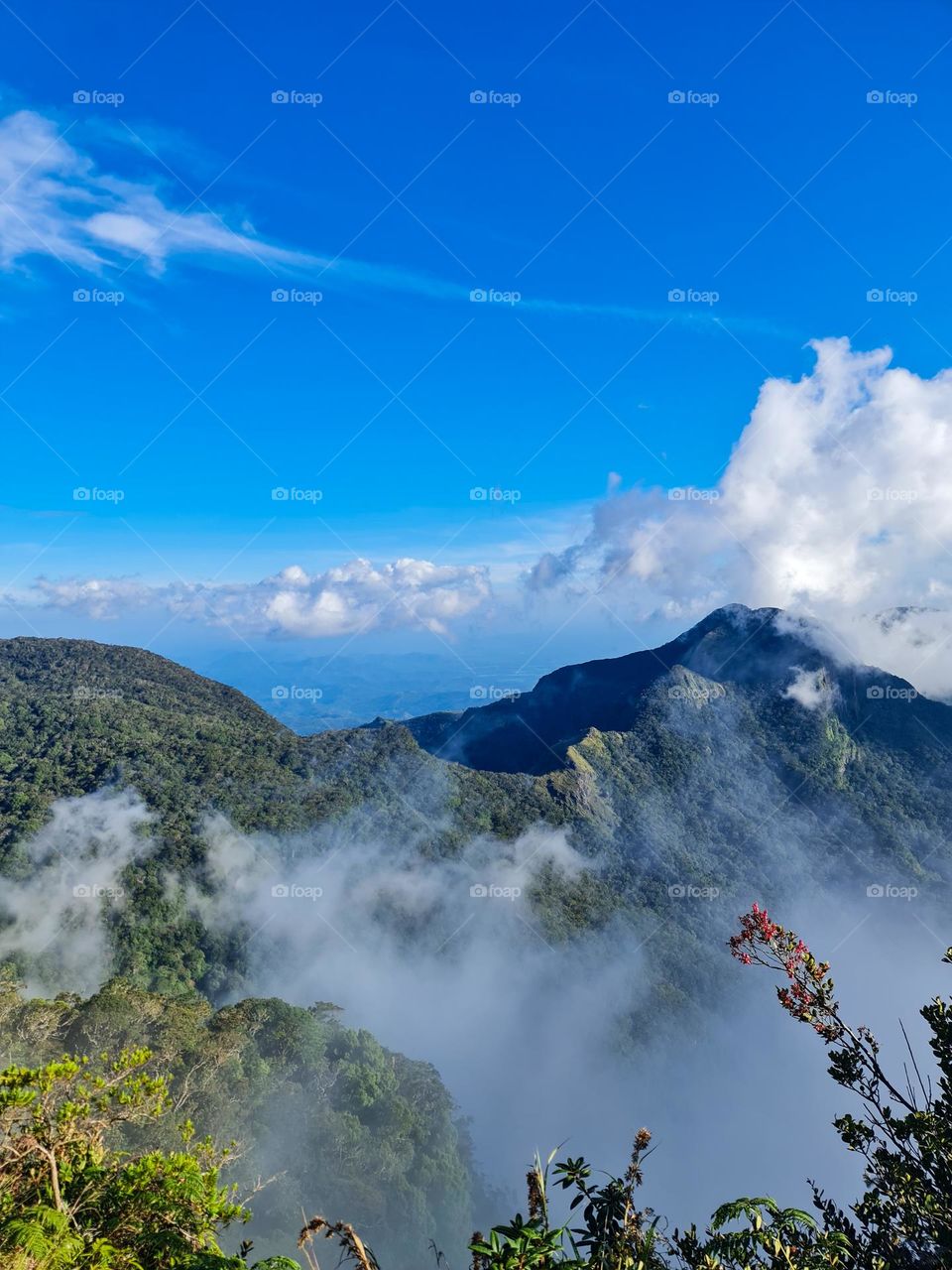 Cloud-kissing mountain ranges