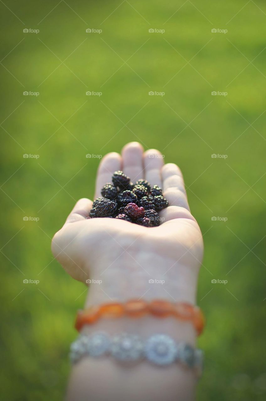 Berries in my hand 