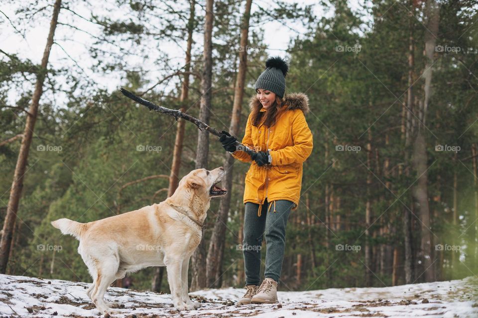 Young woman in yellow jacket trains big kind white dog Labrador walking in the winter forest