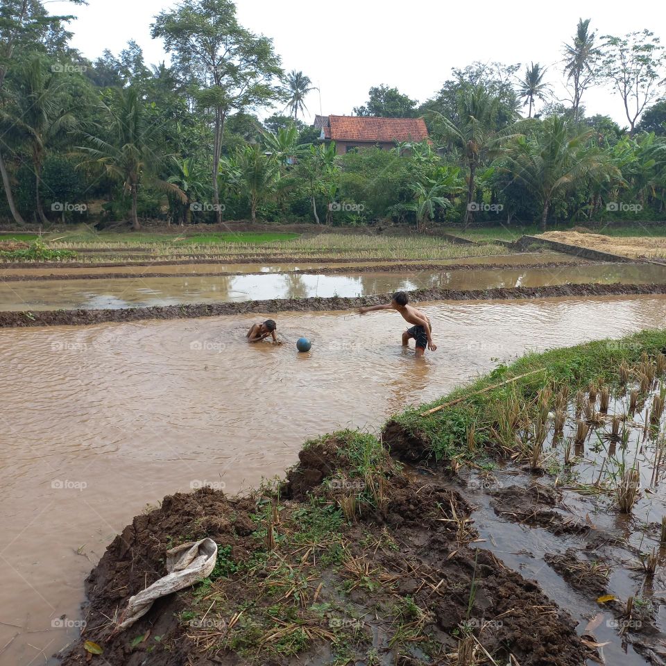The excitement of small children playing in the rice fields