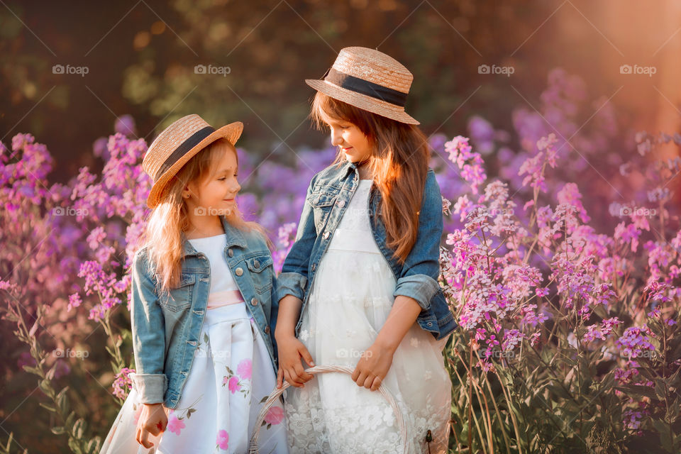 Cute little sisters portrait in blossom meadow at sunset 