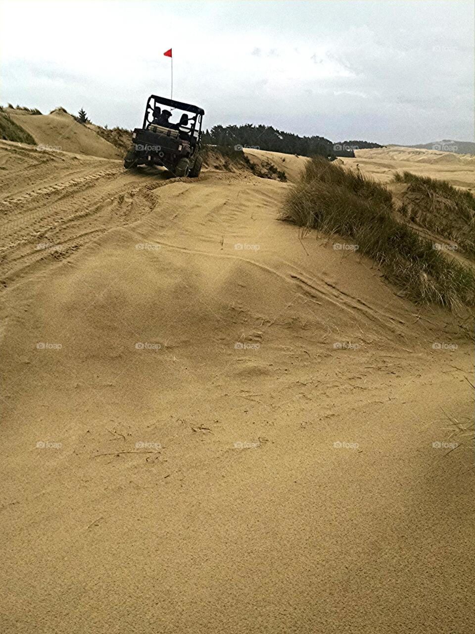 Oregon dunes