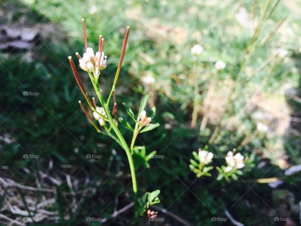 Early signs of spring!