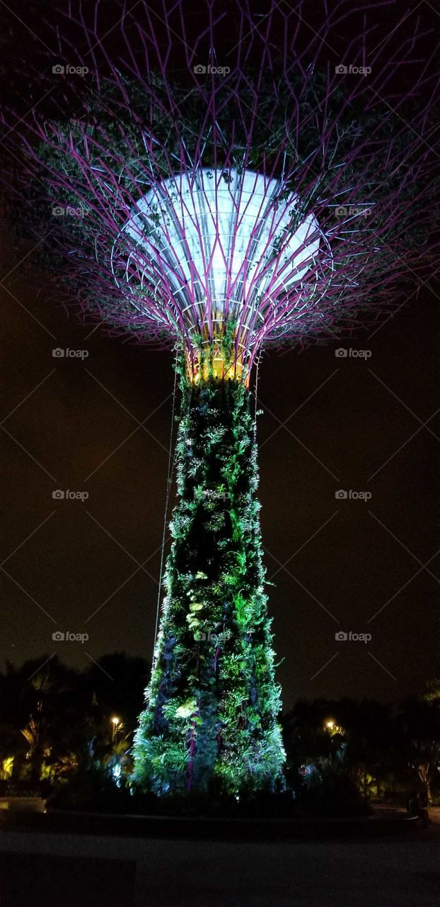 Measuring between 25 and 50 metres tall, these iconic tree-like vertical gardens are designed with large canopies that provide shade in the day and come alive with an exhilarating display of light and sound at night.