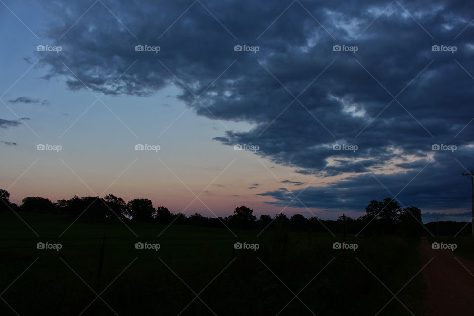 Sunset Below the Trees