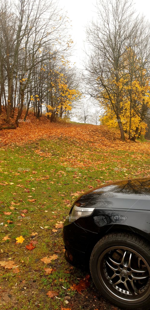 God and human creation