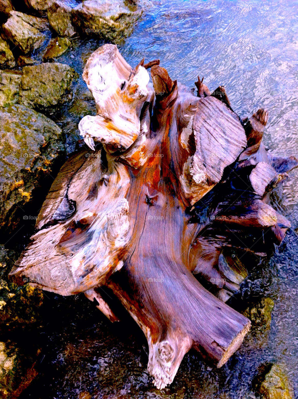 river canada driftwood winnipeg by deco_guy