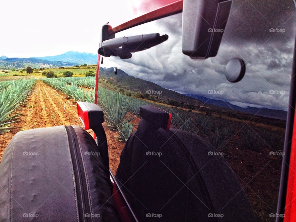 Crop field reflected in jeep rear window