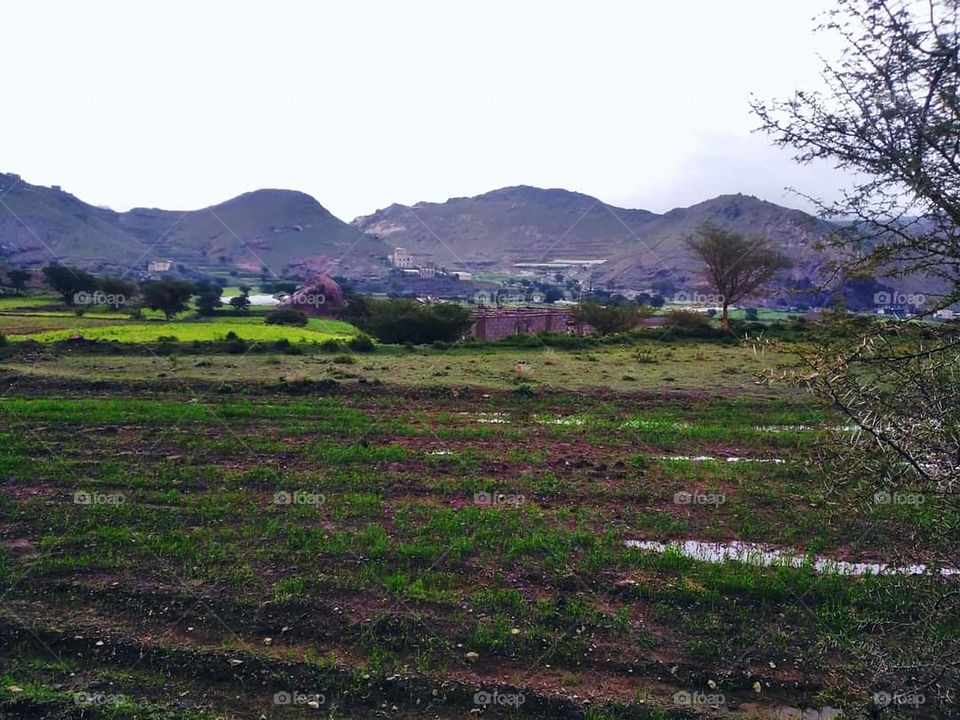 Glory be to God, the magnificent and picturesque view and the natural green trees are a view that is nothing more wonderful than it