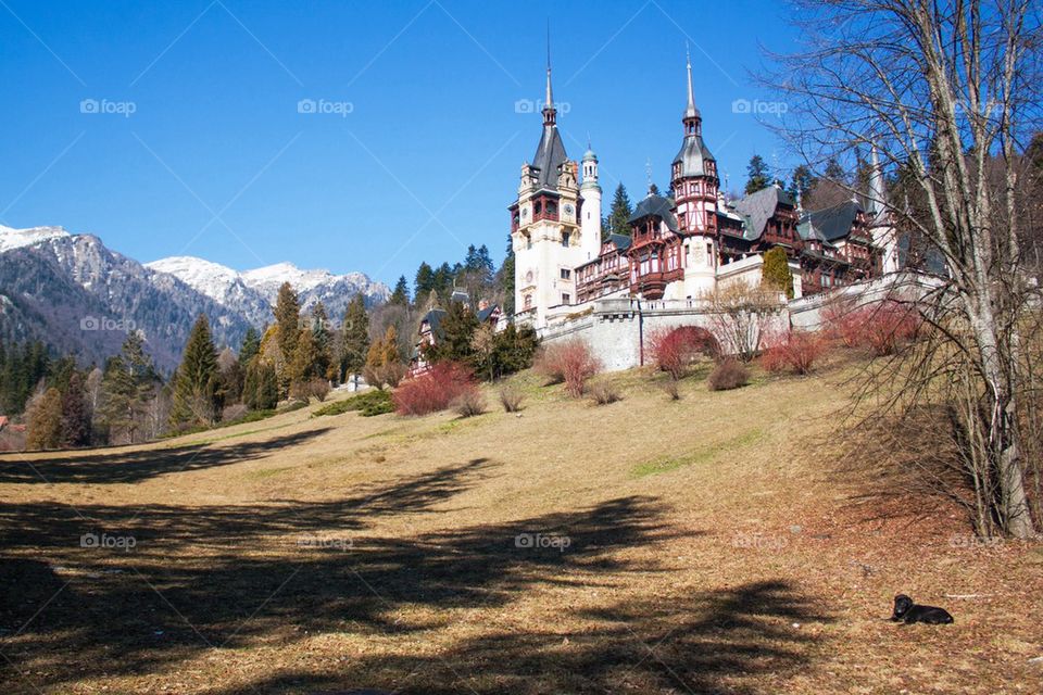 View of Peles castle in Romania