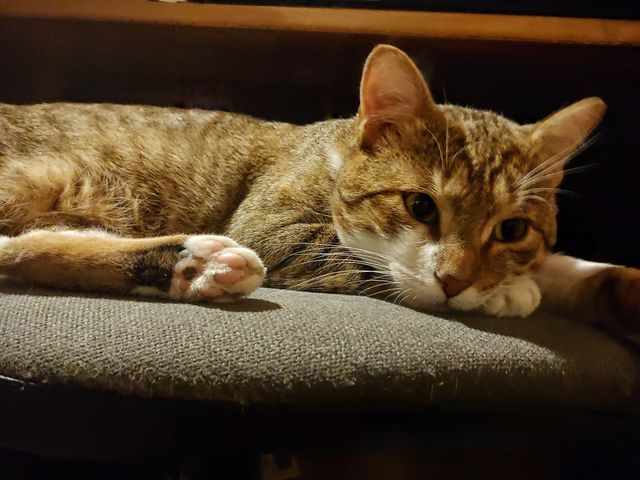 Let me sleep!!! It was a long day