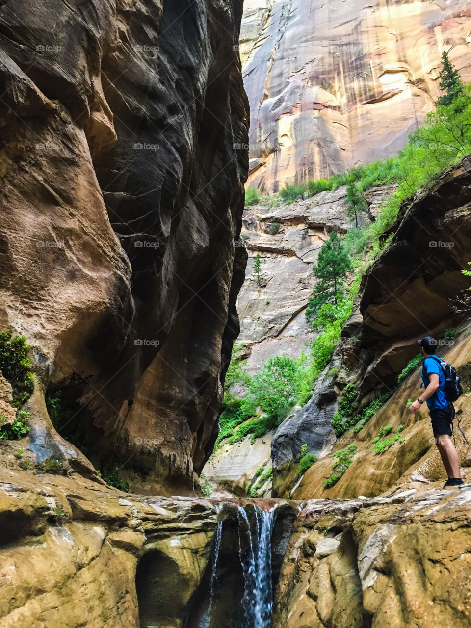 Exploring the narrows in Zion National Park