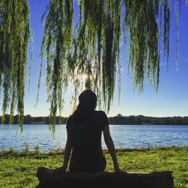 Water, Lake, Tree, People, Reflection