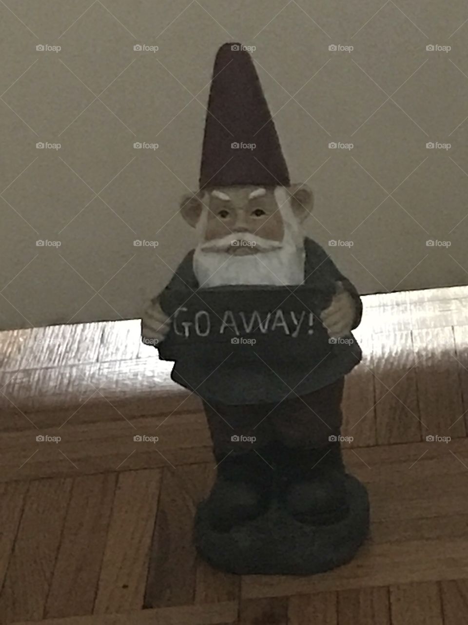 Gnome, the door Guardian