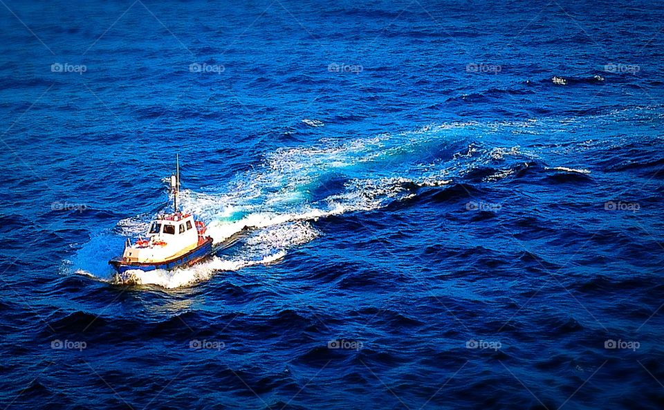 Pilot boat. Pilot coming onboard to guide us into port
