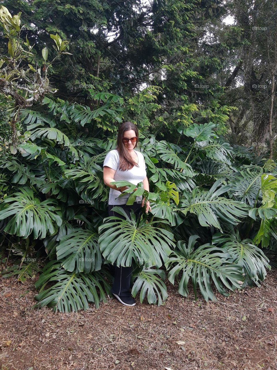 woman in the midle of monstera plants