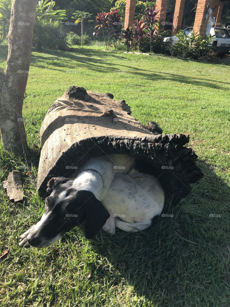 Procurando o melhor lugar pra relaxar.