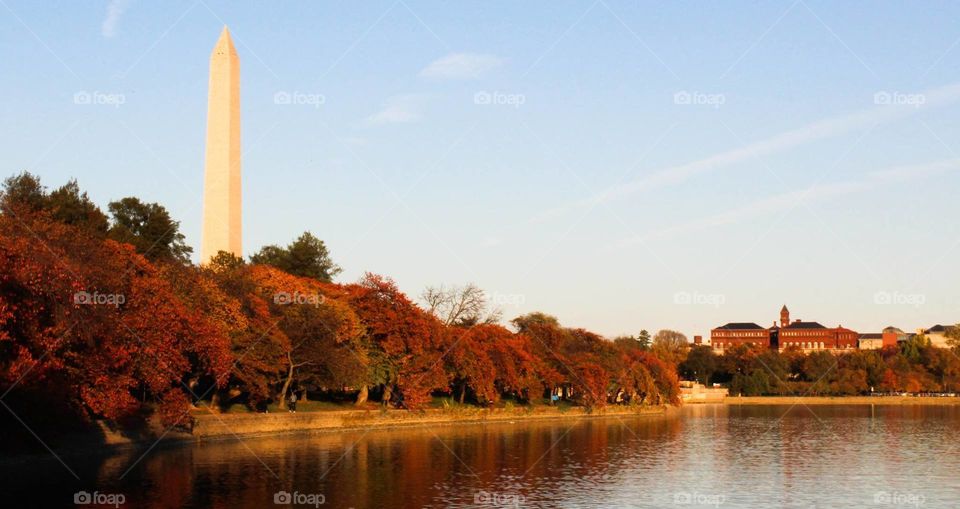 Washington monument in fall