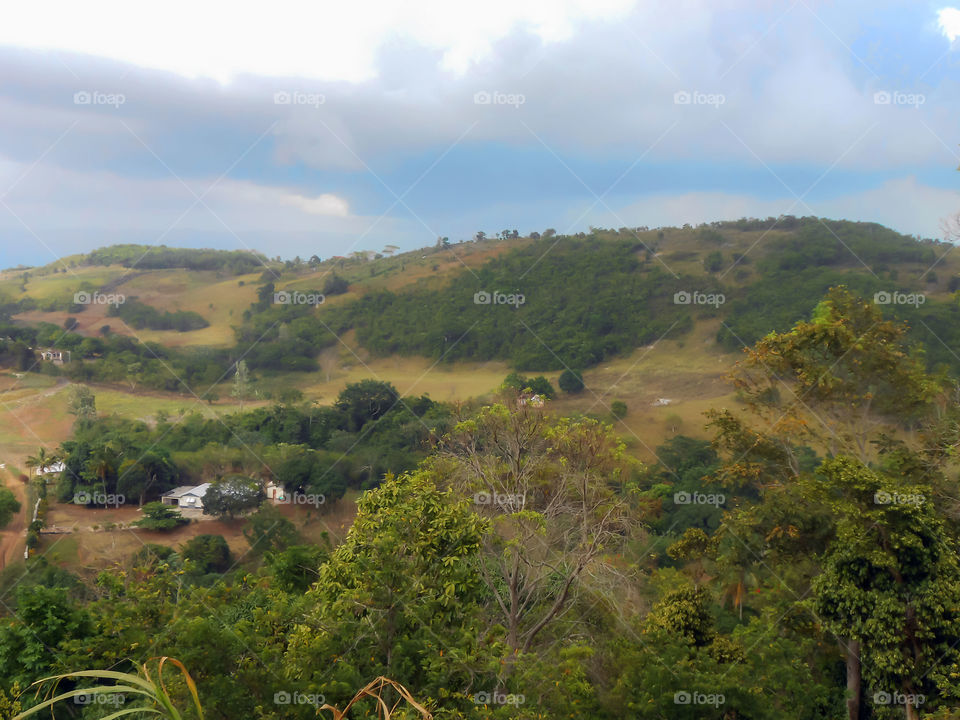 Landscape View