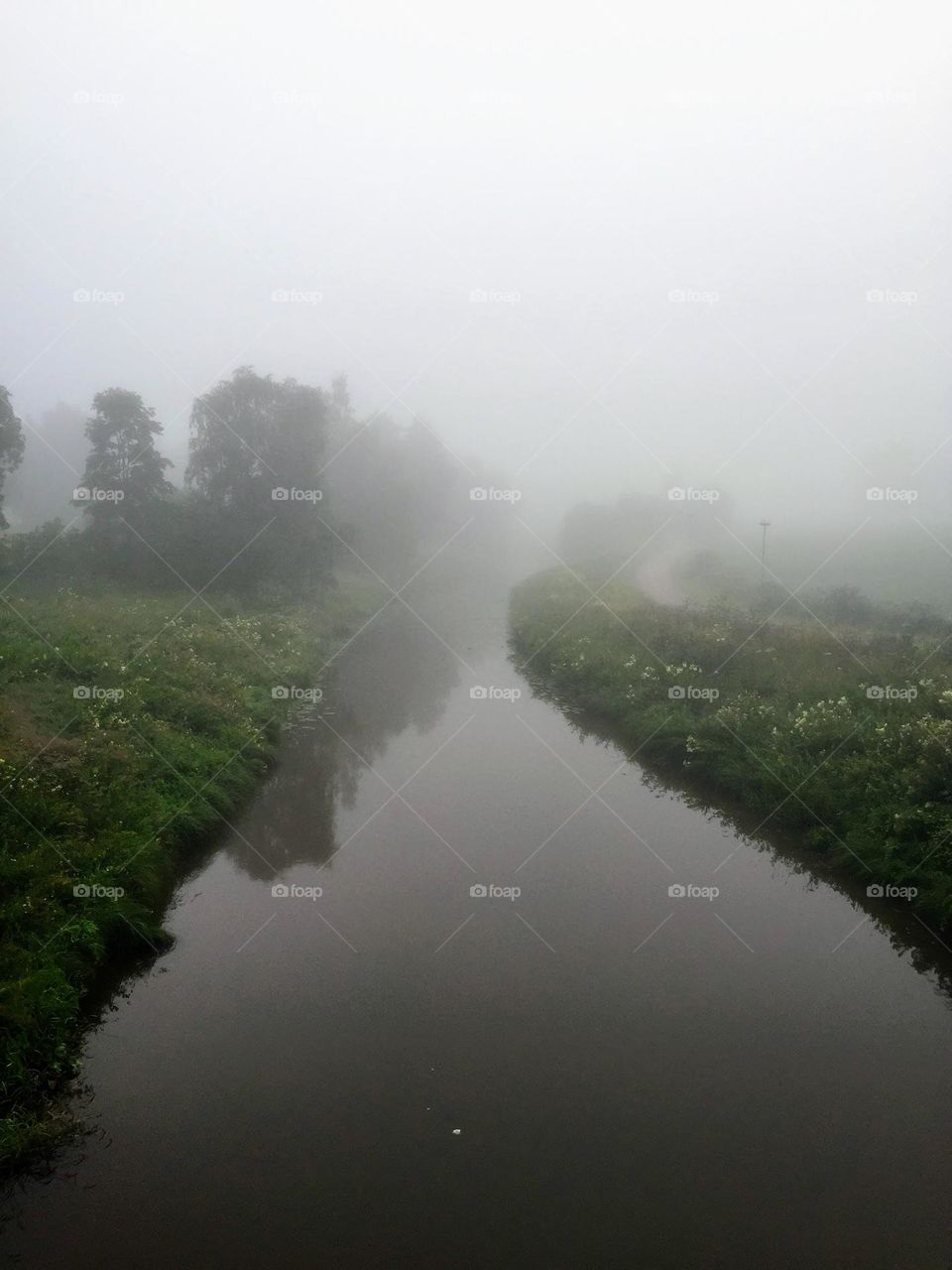 Spooky foggy early morning view over the river with growing on the shore trees reflection in the smooth water surface 