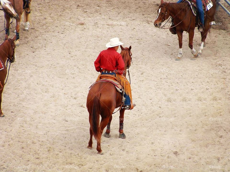 Rodeo