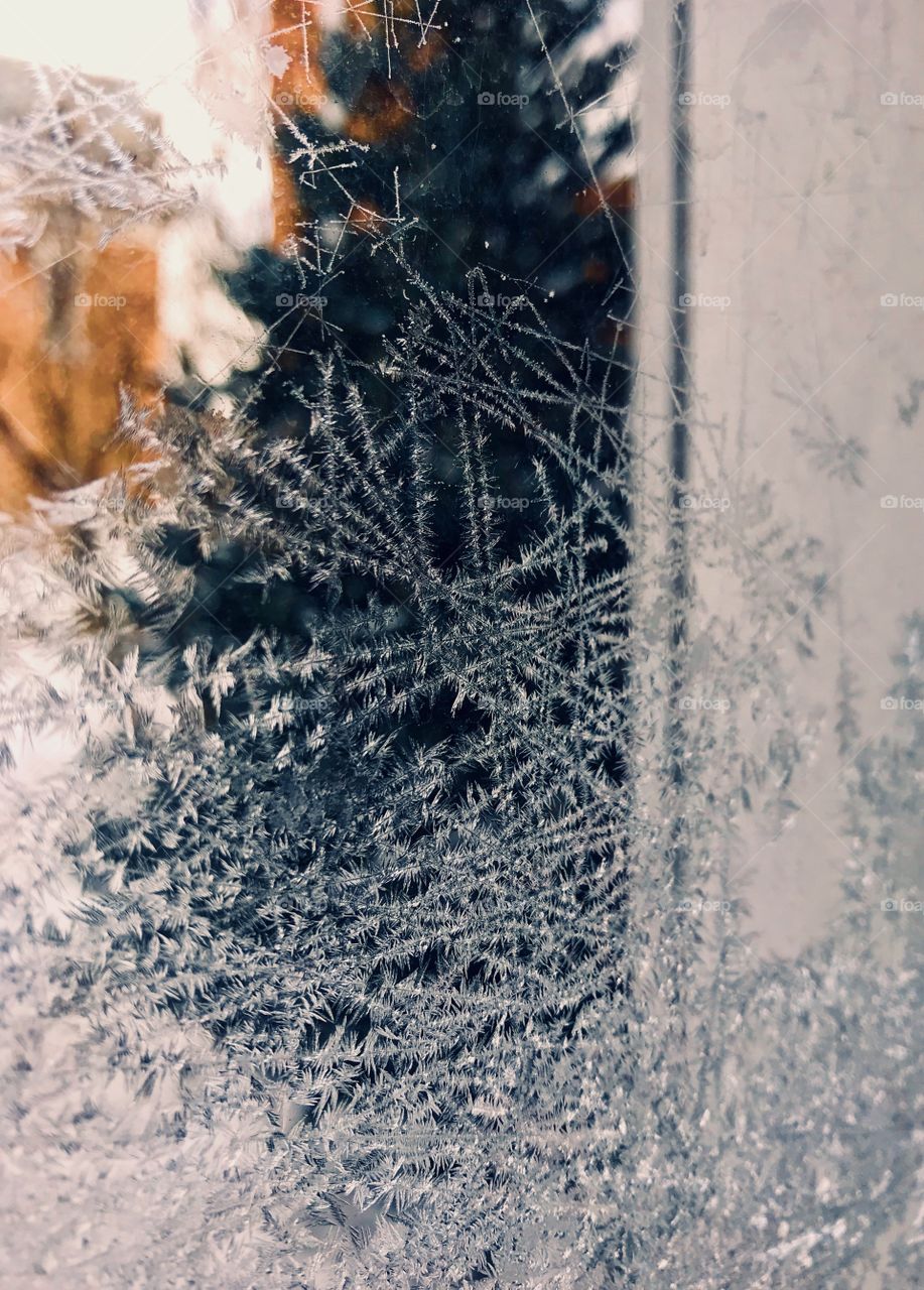 Frosty Window