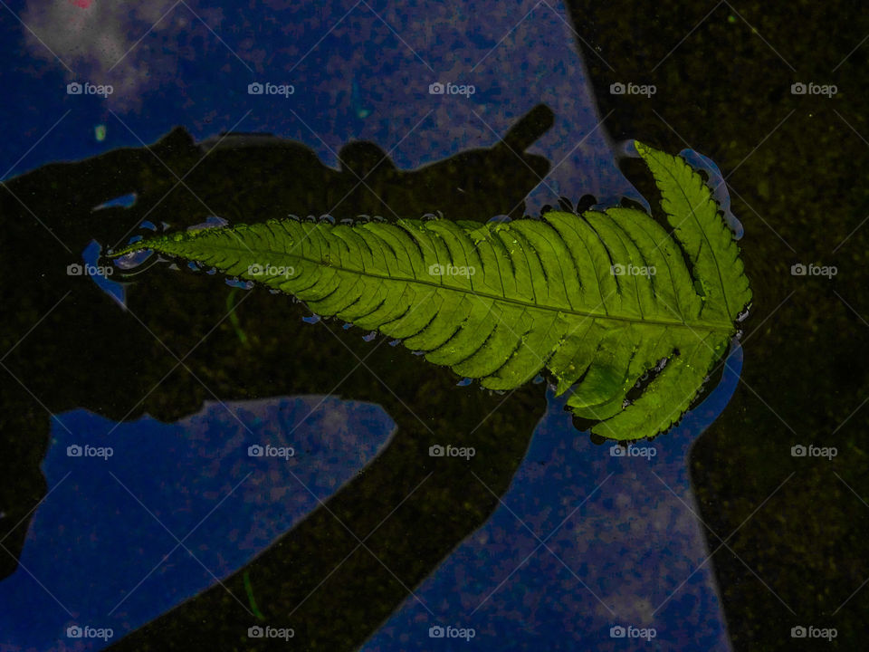 how much do you like this photo