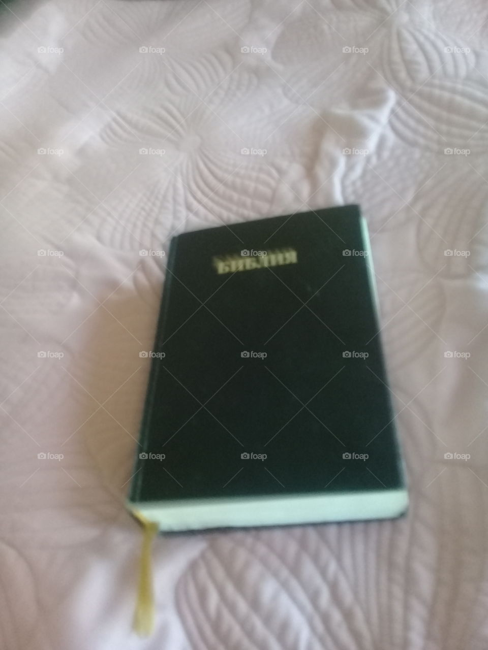My Bible.