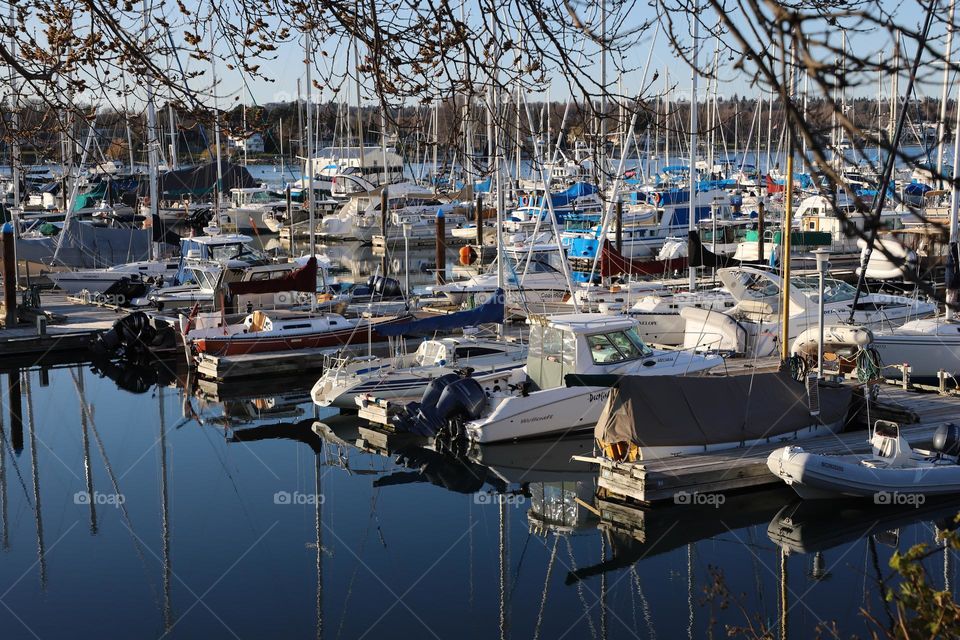 Boats in the harbour 