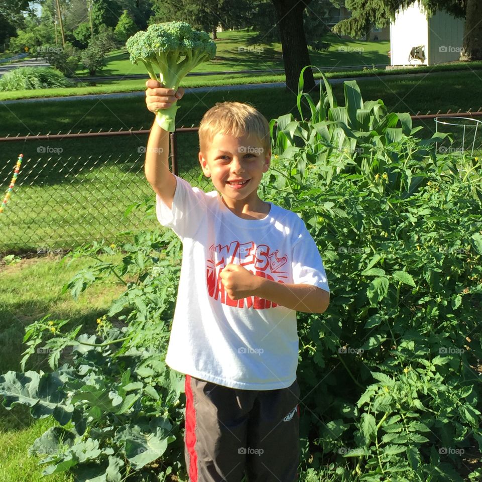 Satie of Liberty Broccoli