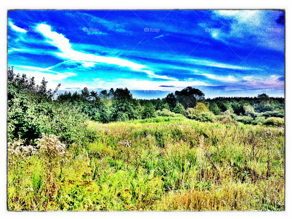 landscape sky green field by penguincody