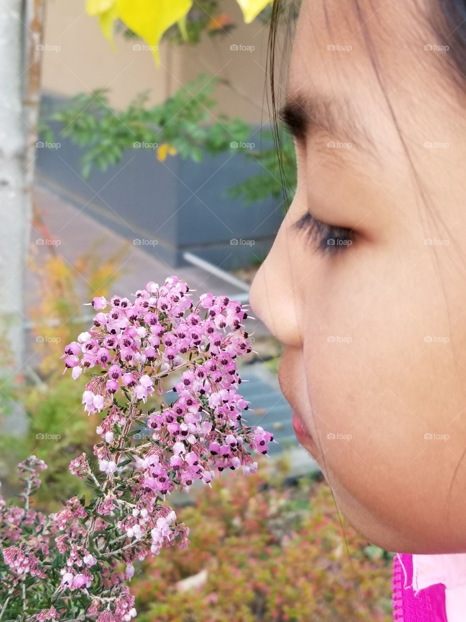 smelling flower