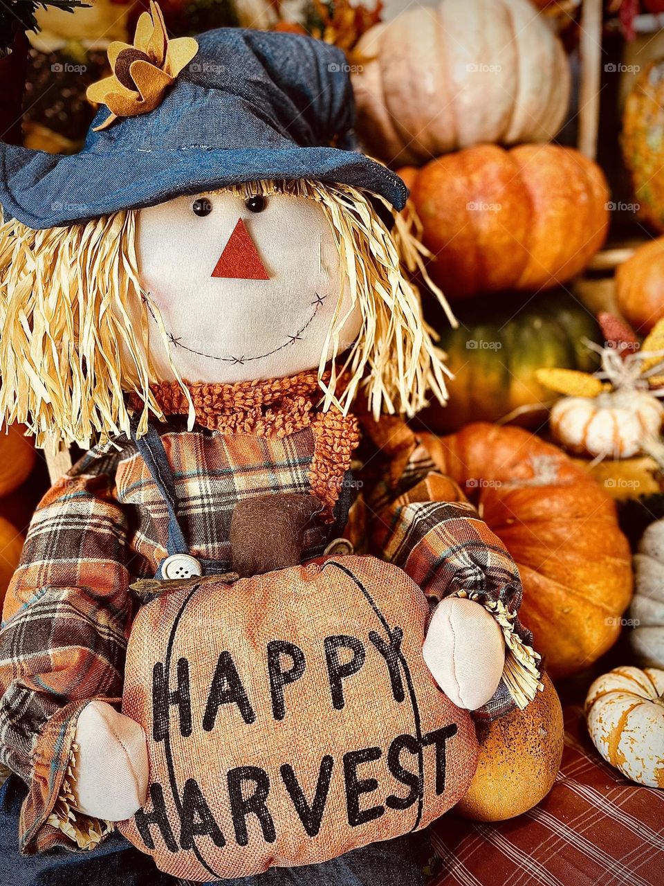 Happy harvest scarecrow 