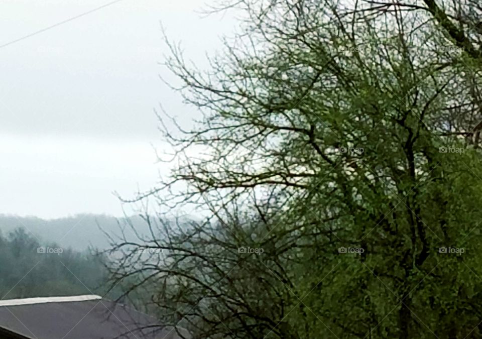 Driving the back  Roads and enjoying everything around us