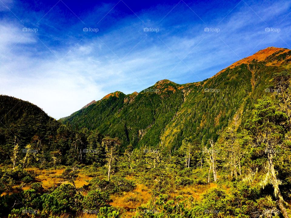 Sitka Alaska Scenery. August 2015