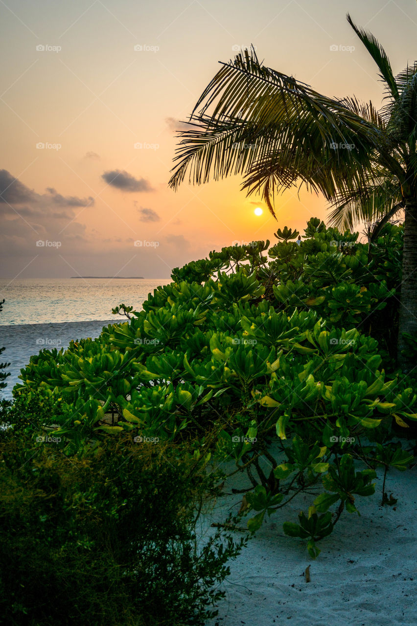 Sunset Maldives