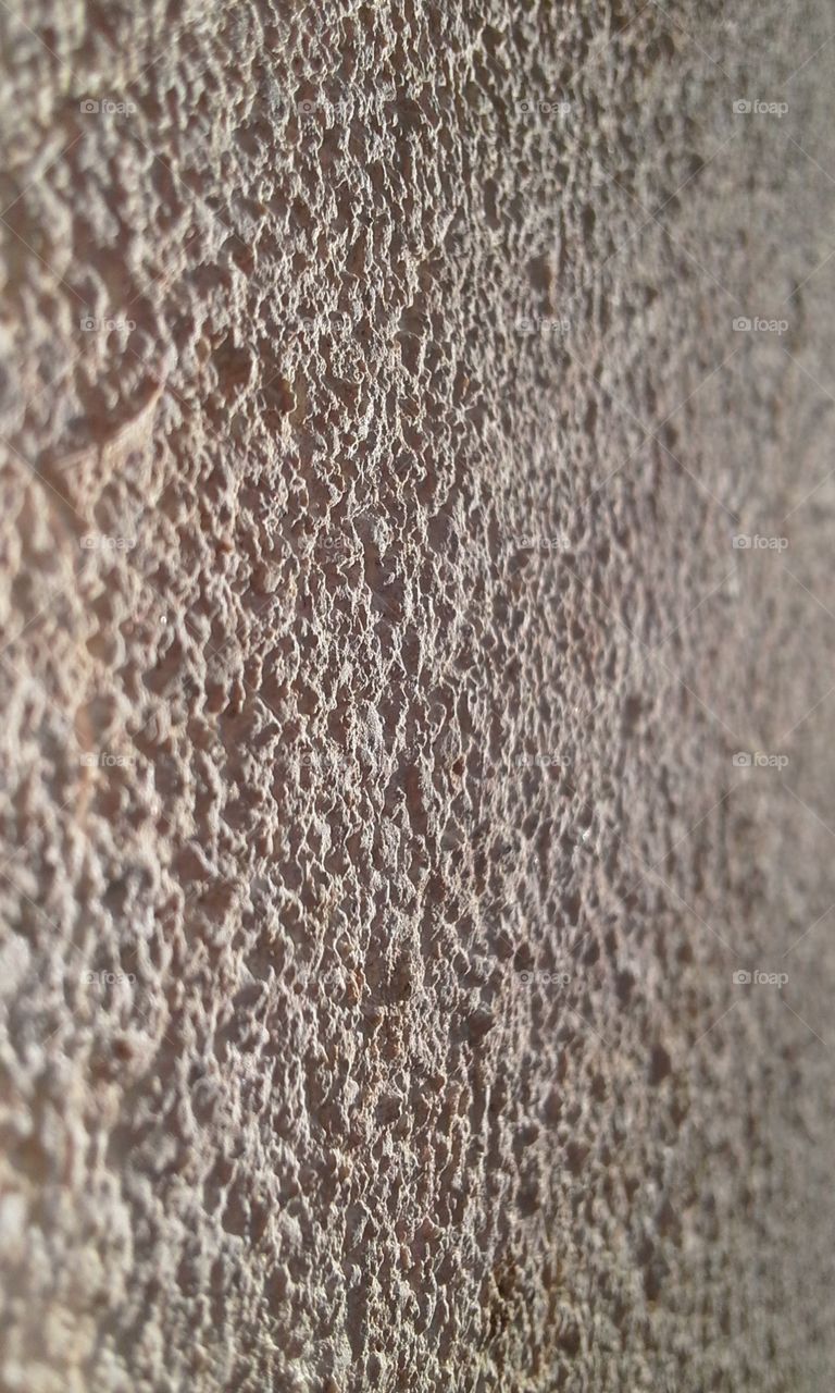 wall surface