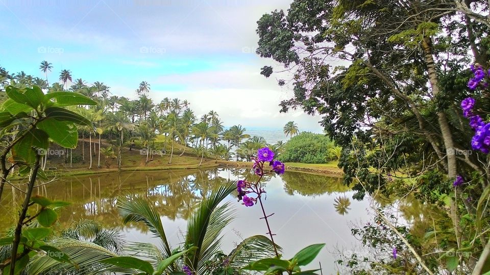 Scenic view of idyllic lake