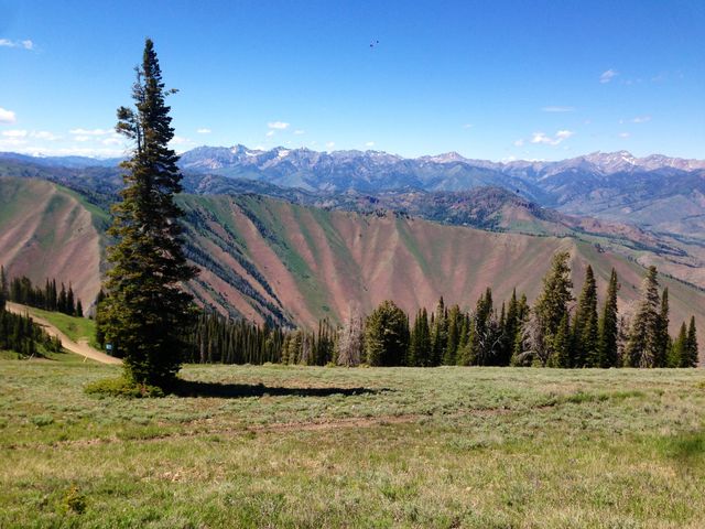 Mountain, Landscape, Nature, Travel, Wood