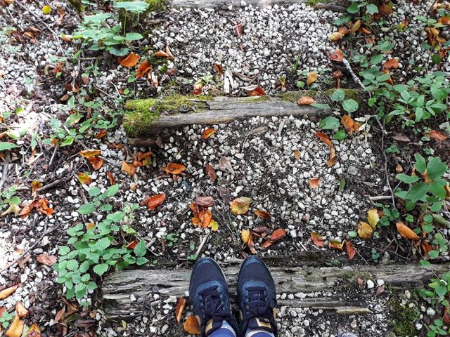 Following the path of the nature